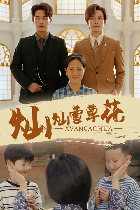 《灿灿萱草花》封面