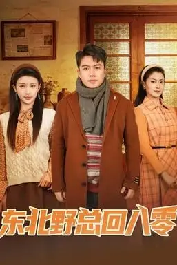 《东北野总回八零》封面