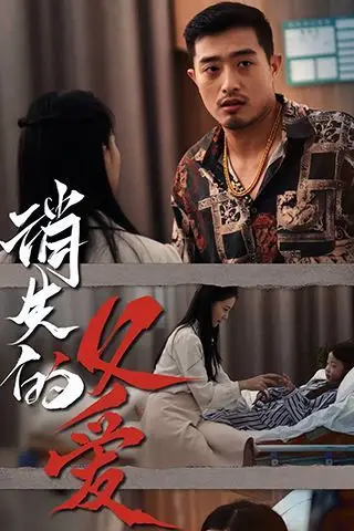 《消失的父爱》封面