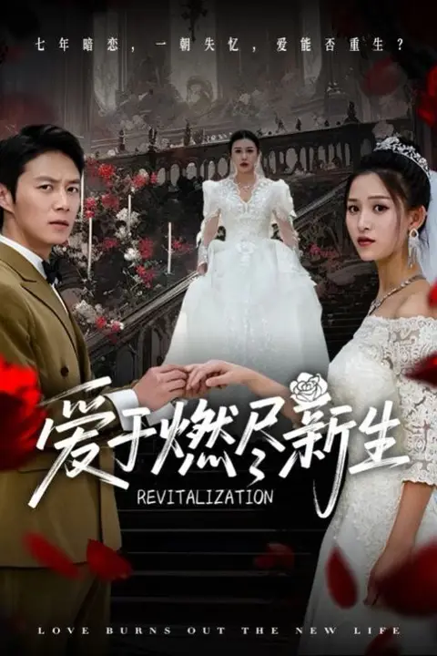 《爱于燃尽新生》封面