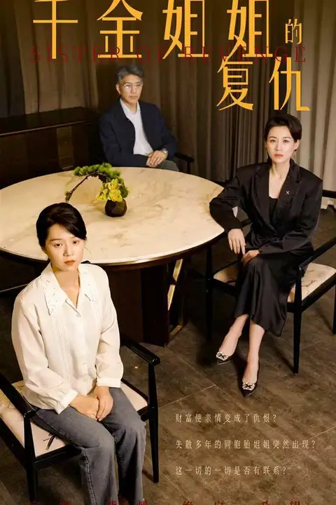 《千金姐姐的复仇》封面