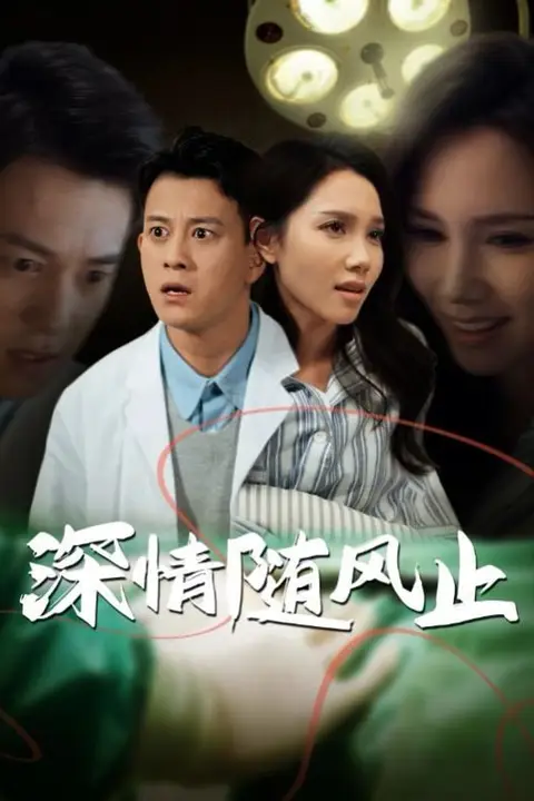 《深情随风止》封面