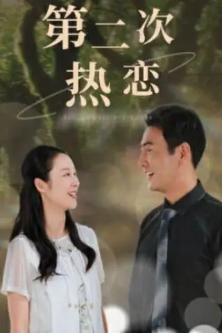 《第二次热恋》封面