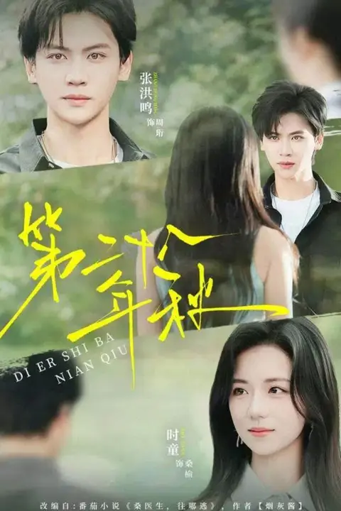 《第二十八年秋》封面