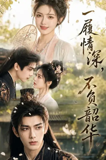 《一履情深，不负韶华》封面