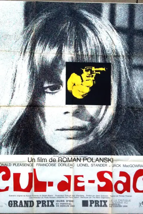 《荒岛惊魂 1966》封面