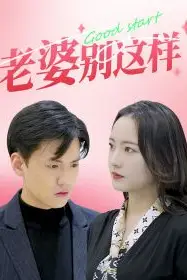 《老婆别这样》封面