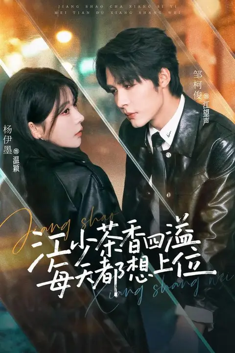 《江少茶香四溢,每天都想上位》封面
