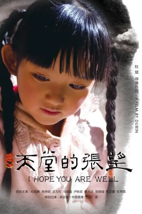 《天堂的张望》封面