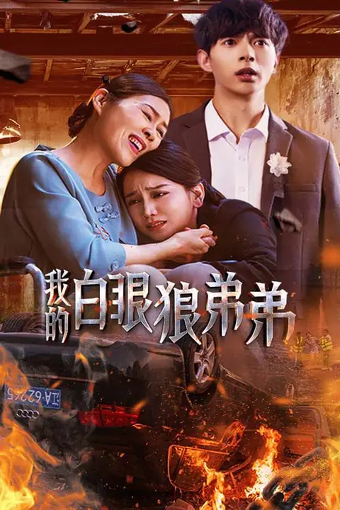 《我的白眼狼弟弟》封面