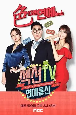 《Section TV演艺通信》封面
