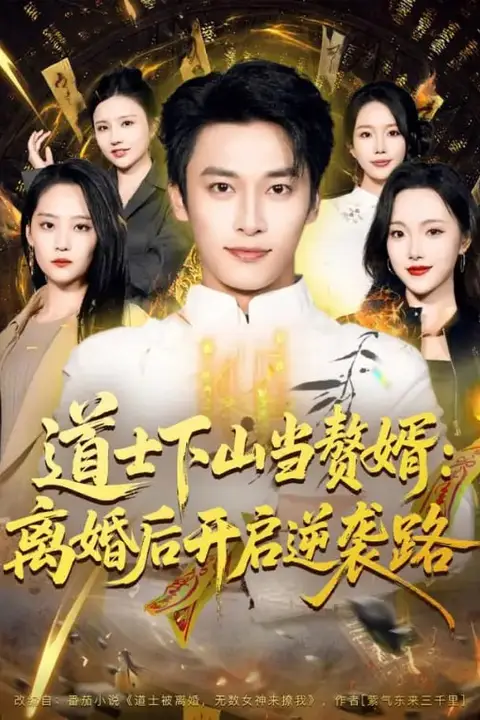 《道士下山当赘婿》封面