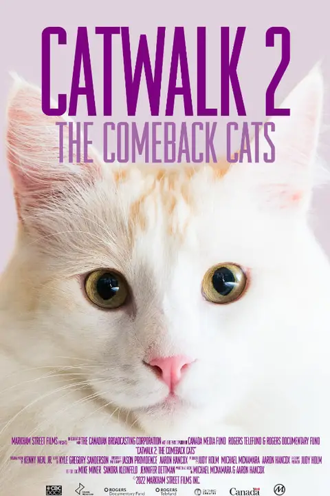 《《猫步2:回归的猫》》封面