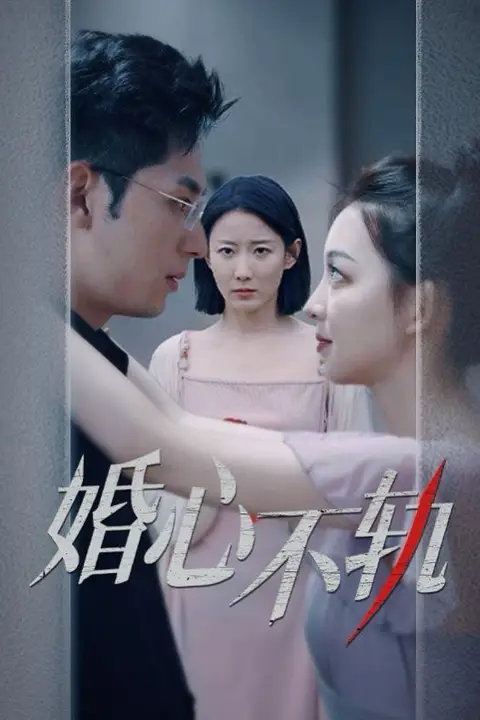 《婚心不轨》封面