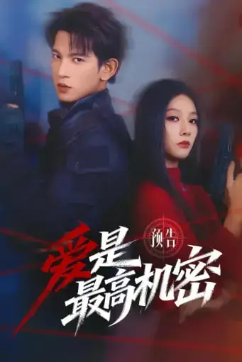 《爱是最高机密》封面