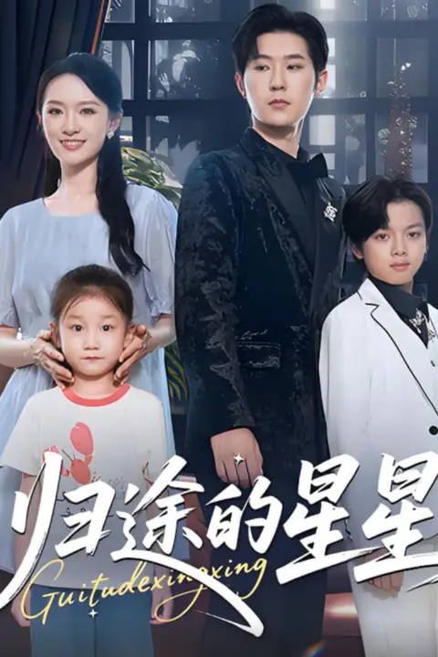 《归途的星星》封面
