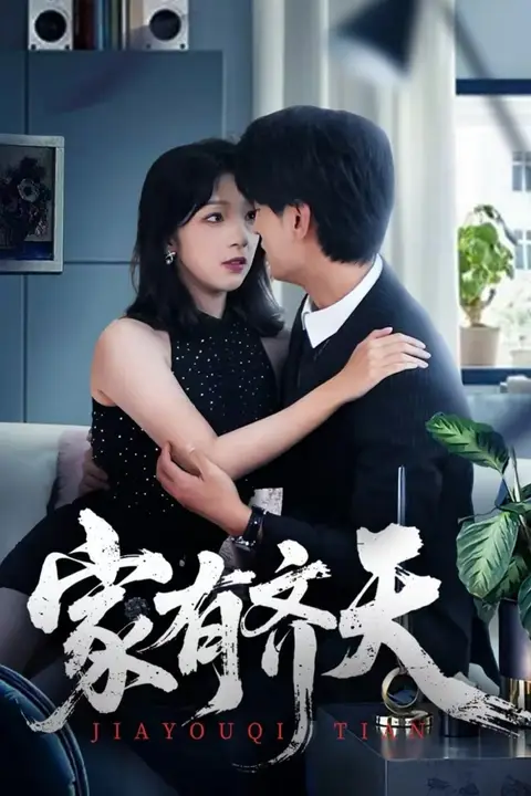 《家有齐天》封面