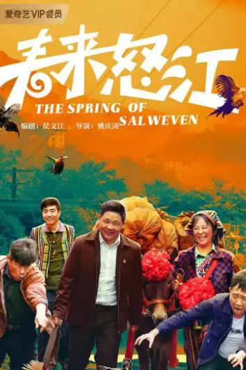 《春来怒江》封面
