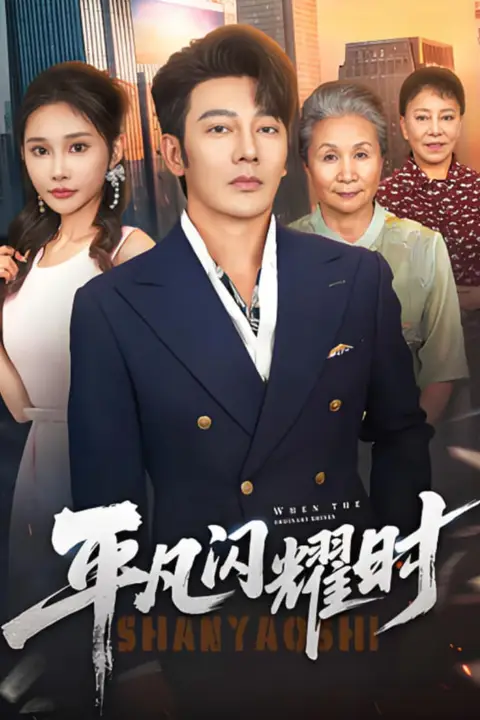 《平凡闪耀时》封面