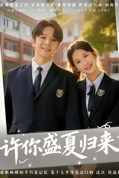 《许你盛夏归来》封面
