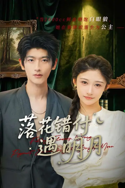 《落花错付遇明月》封面