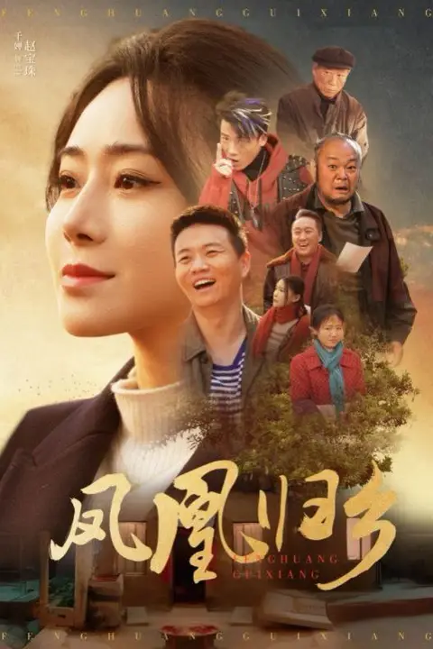 《凤凰归乡》封面