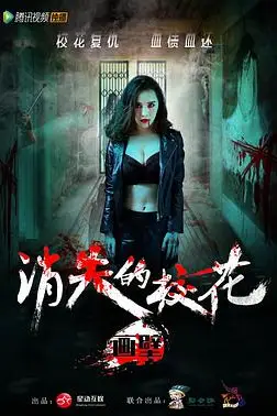 《画壁之消失的校花》封面
