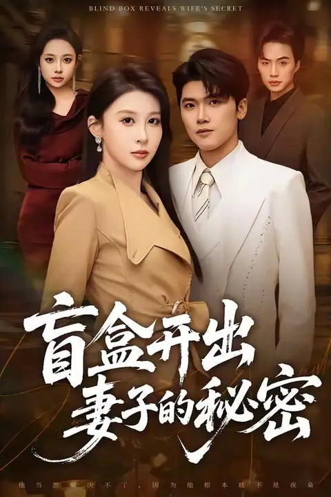 《盲盒开出妻子的秘密》封面