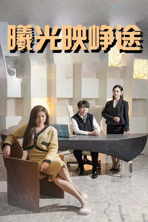《曦光映峥途(错把瓦砾当明珠)》封面