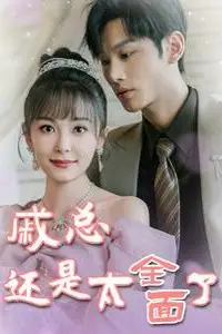 《戚总还是太全面了(戚总今天追到夫人了么)》封面