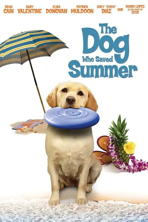 《妙狗拯救夏日》封面