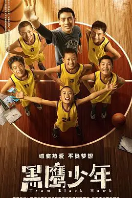 《黑鹰少年》封面