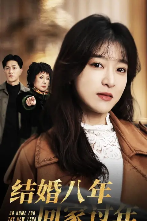 《结婚八年回家过年》封面