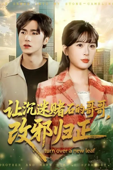 《让沉迷赌石的哥哥》封面