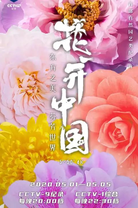 《花开中国》封面