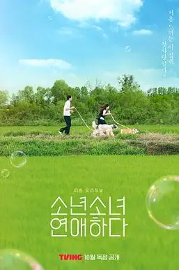 《少男少女恋爱》封面