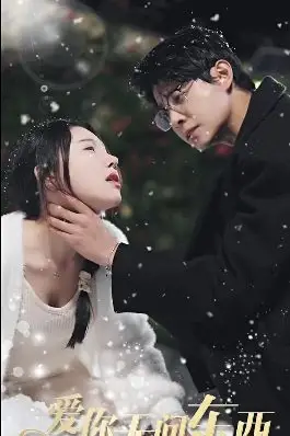 《爱你无问东西》封面