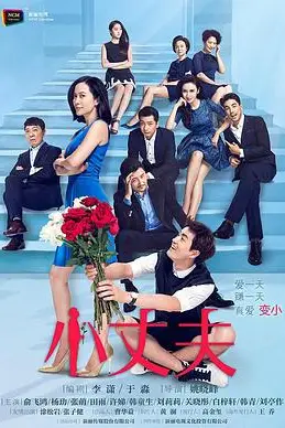 《小丈夫》封面