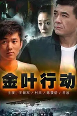 《金叶行动》封面