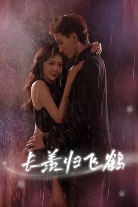 《长羡归飞鹤》封面