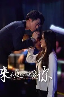 《来不及好好爱你》封面