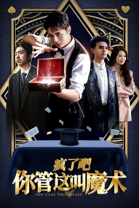 《疯了吧你管这叫魔术》封面