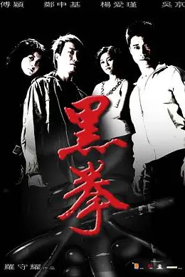 《黑拳》封面
