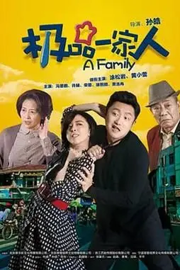 《极品一家人》封面