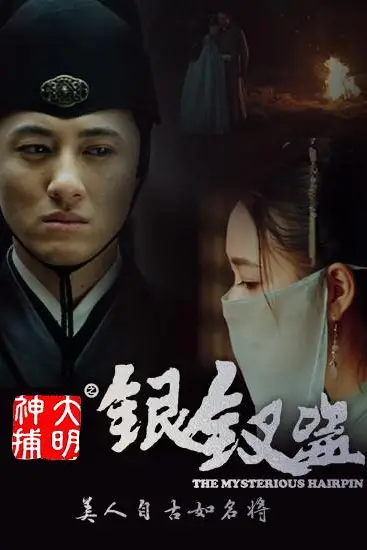 《大明神捕之银钗盗》封面