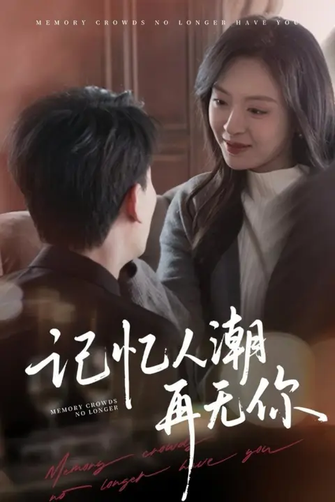 《记忆人潮再无你(转身已是暮色烬)》封面