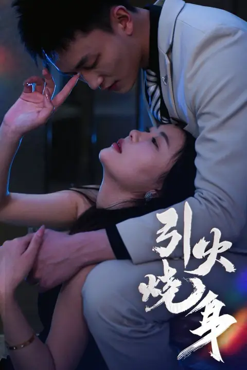 《引火烧身》封面