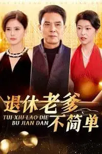 《退休老爹不简单》封面