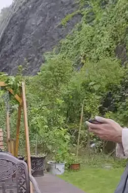 《仙婿》封面