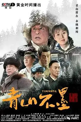 《青山不墨》封面